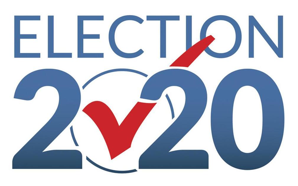 Election 2020 pic