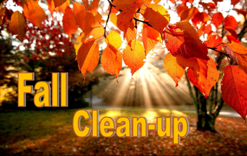fallcleanup